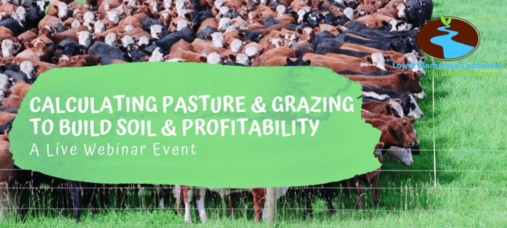 Measurement of pasture & planning the grazing 1 Measurement of pasture & planning the grazing