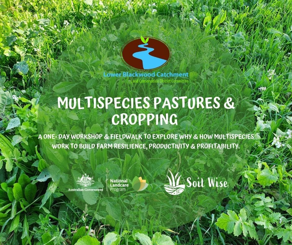Multispecies Pastures & Cropping 10 FB Tile Multispecies Pastures Cropping