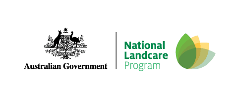 RAPP 2023 Showcase Sundowner 18 nlp logo cmyk 1