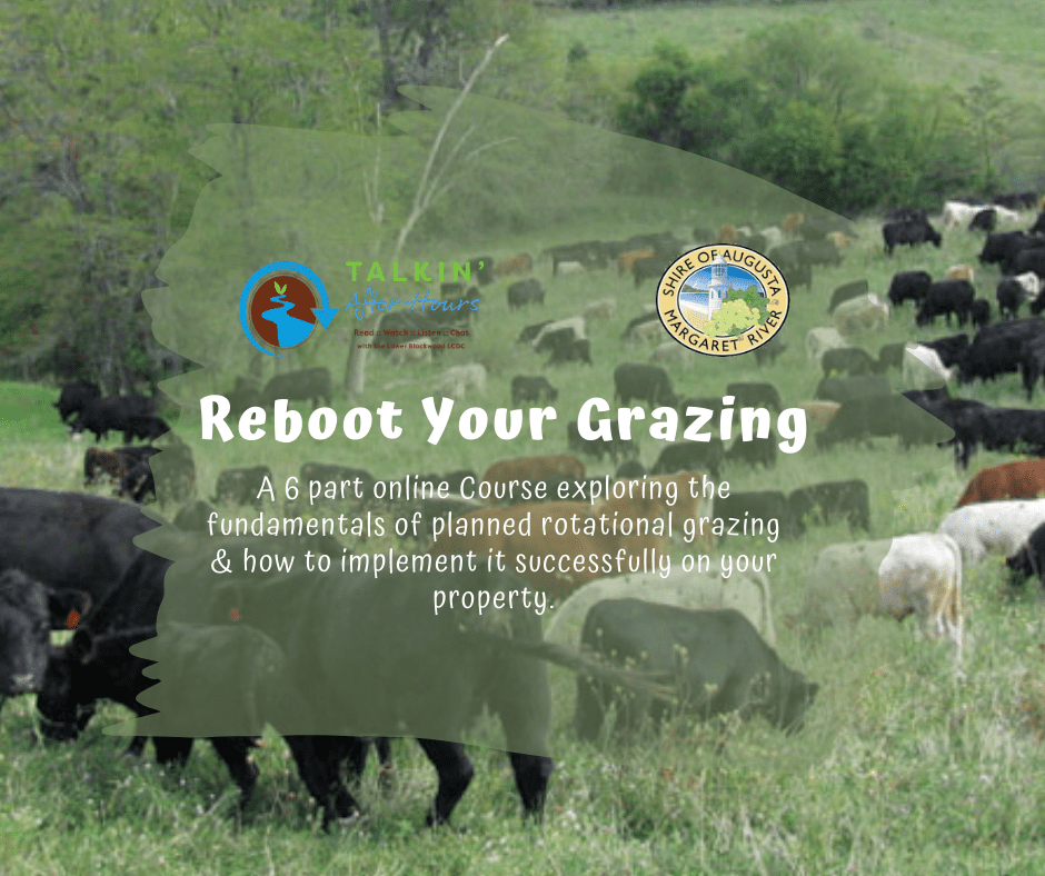 Reboot Grazing FB Tile 1