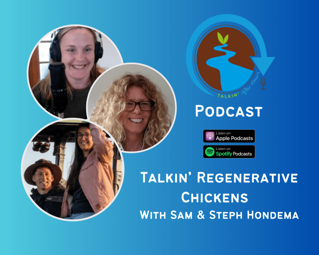 Talkin' Regenerative Chickens with Sam & Steph Hondema 1 Talkin Regenerative Chickens