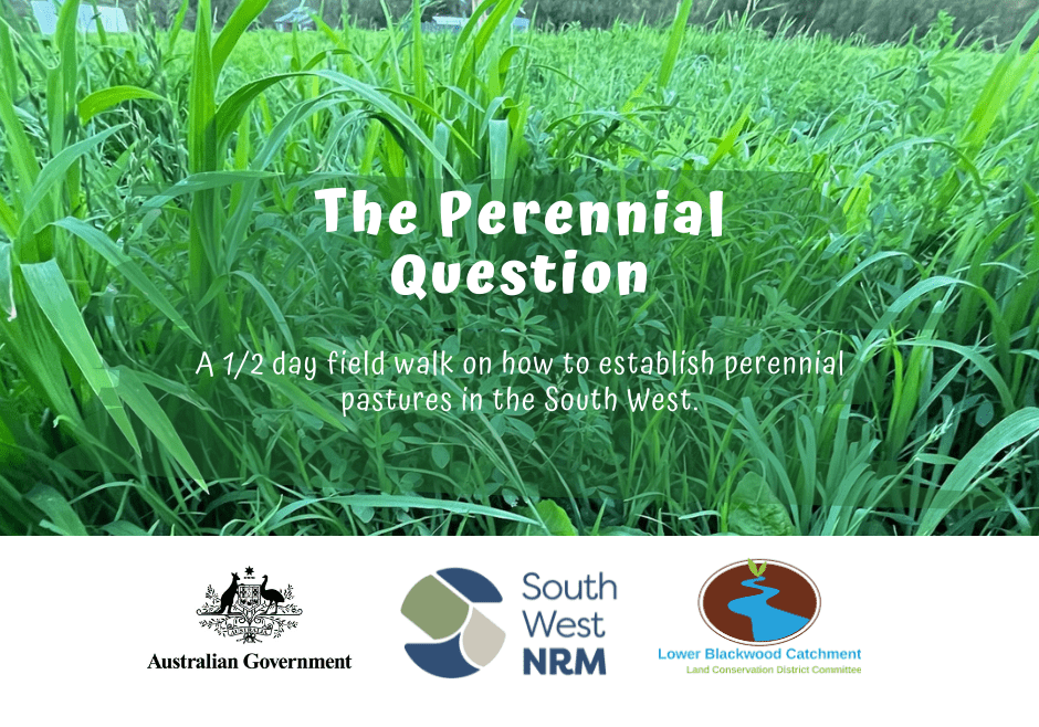 The Perennial Question 10 The Perennial Question Tile