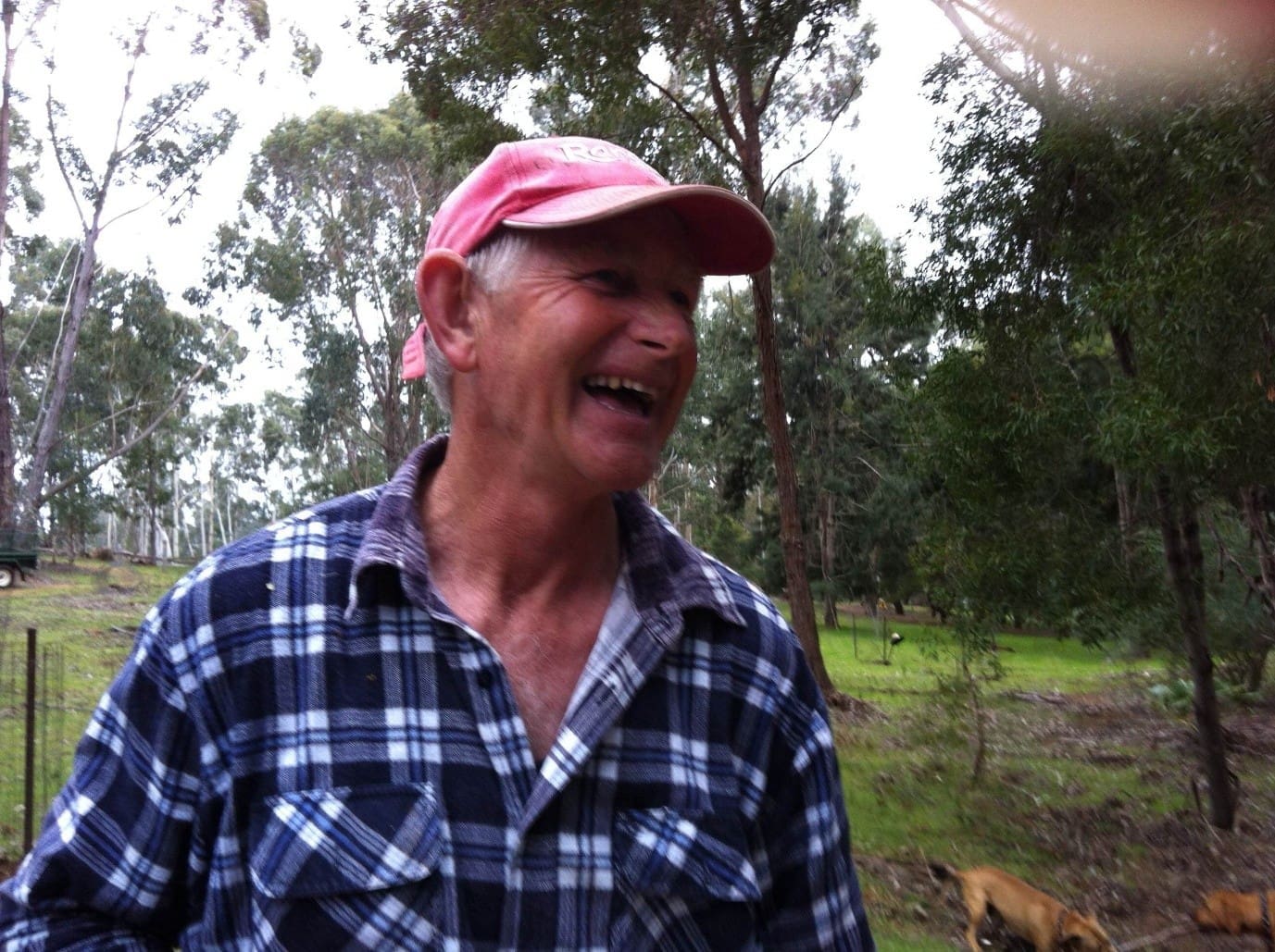 Bob Hingston