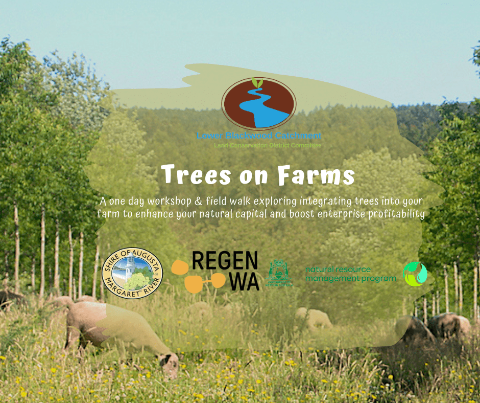 Trees on Farms 10 ToF Tile