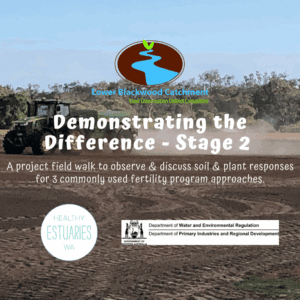 Demonstrating the Difference Tile 1