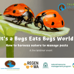 Its a Bugs Eat Bugs World Tile 1