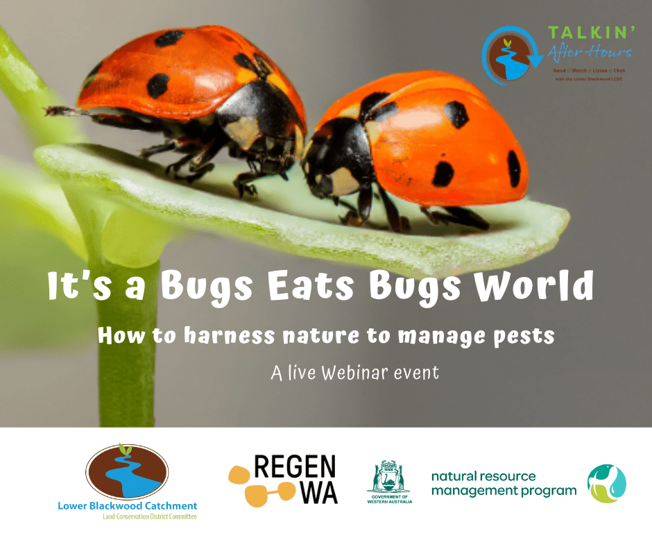 It's a Bugs Eat Bugs World - how to harness nature to manage pests. 10 Its a Bugs Eat Bugs World Tile 1