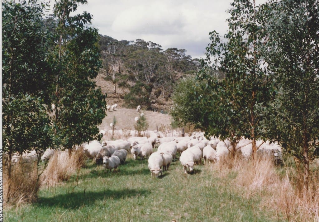 Trees on Farms 1 66615a3c57738 bp cover image