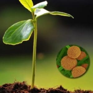 Group logo of Make Your Own Biological Inputs